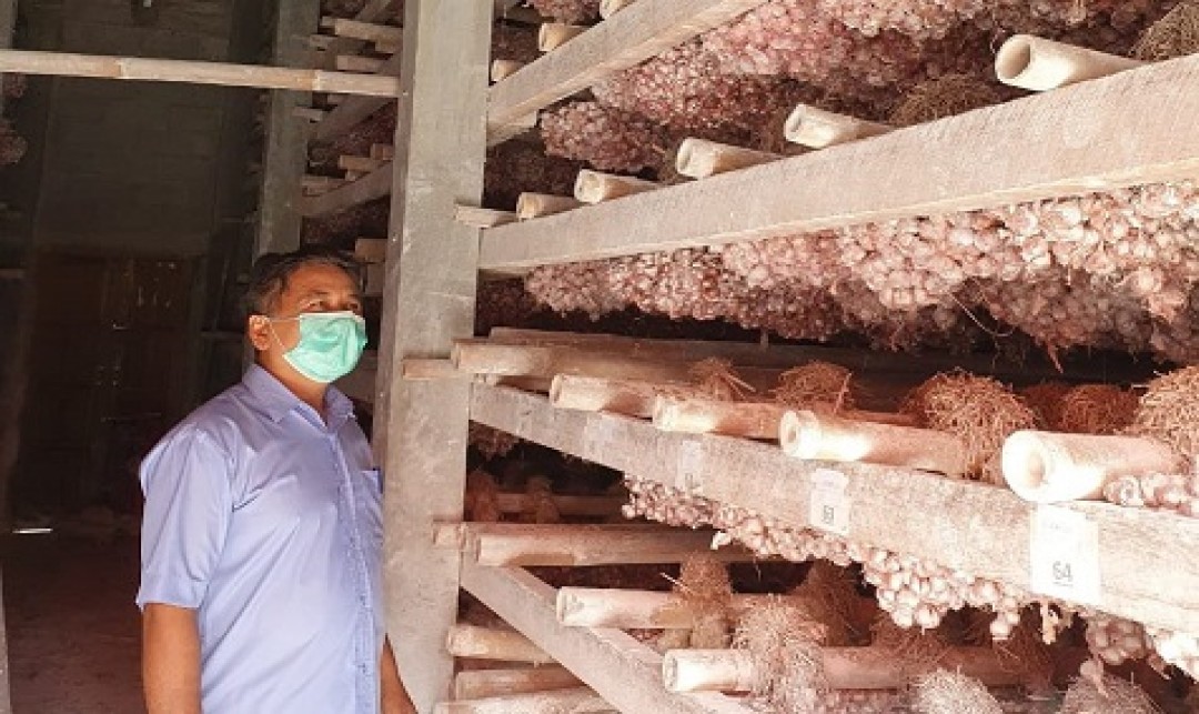 Foto : Bantul Jaga Pasokan  Perbenihan Bawang Merah