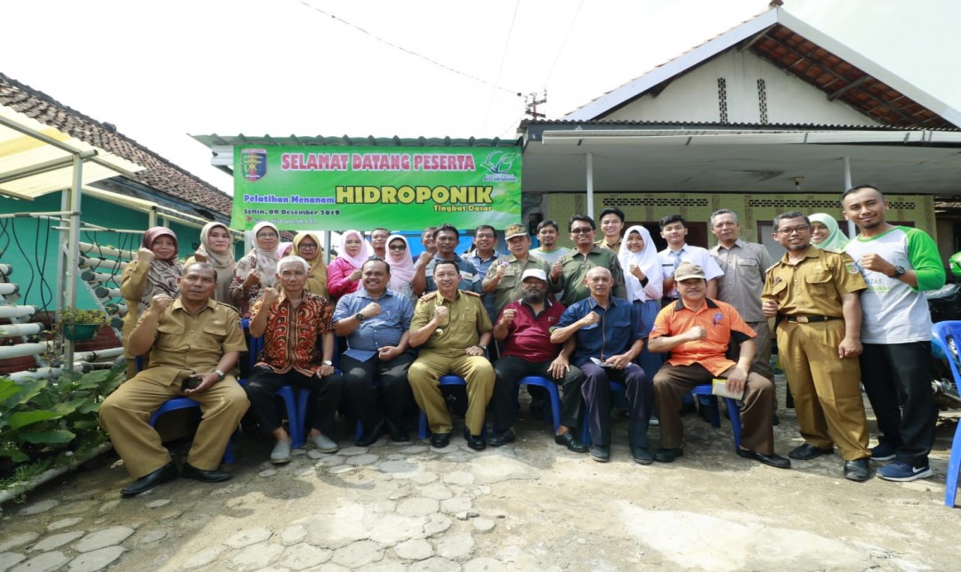 Foto : Yayasan Ayo Menanam Indonesia Berawal Hobi Menanam di Pekarangan Sempit Perkotaan.