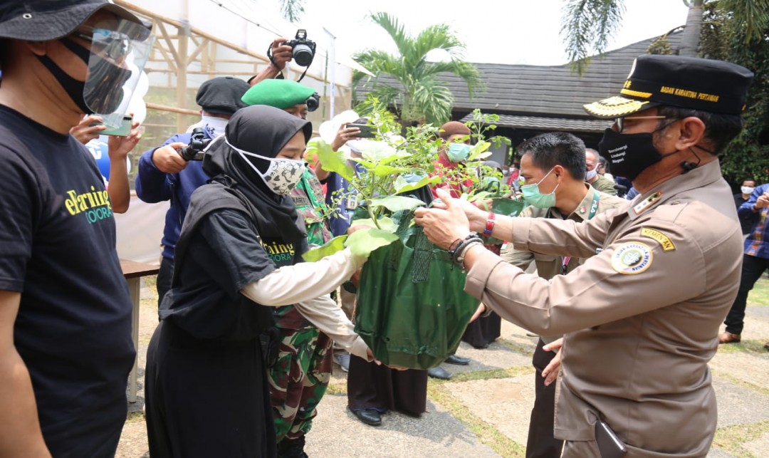 Foto : Mentan Syahrul Yasin Limpo Saat Mengunjungi Perkebunan Hidroponik Swasta di Babakan Madang, Bogor.