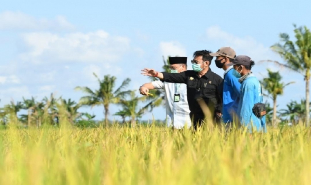 Foto :  Inpari IR Nutri Zinc Menjadi Salah Satu Komponen dalam Program Prioritas Nasional untuk Mengatasi Stunting. Sumber : Kementerian Pertanian.