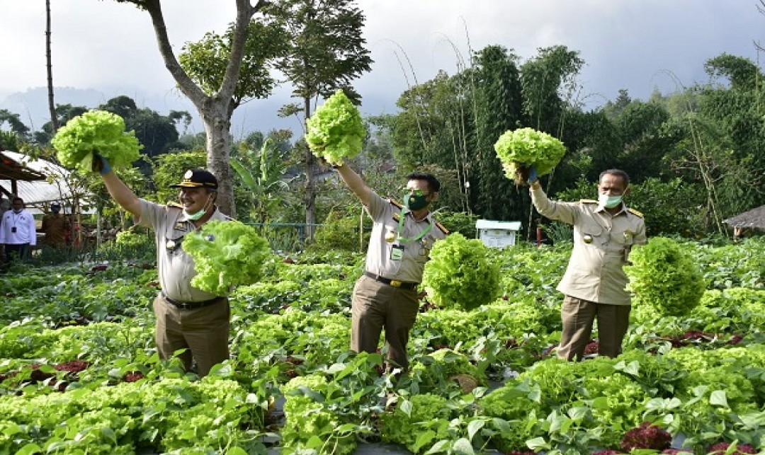 Foto : Kalangan Muda Indonesia diajak untuk Menekuni Perkebunan Kota (urban farming).