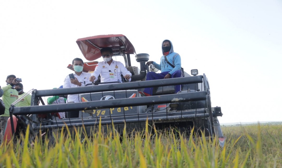 Foto Mentan Syahrul Yasin Limpo Saat Mlakukan Panen Padi di Desa Cialam Jaya, Kecamatan Konda Kabupaten Konawe Selatan,.