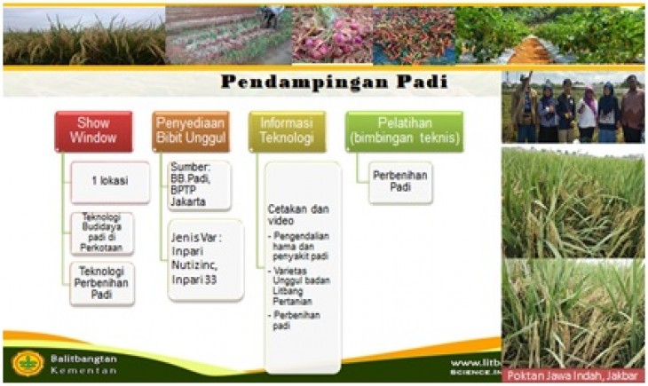 Foto : BPTP Jakarta Akanmngadakan Kegiatan Pendampingan dan Pengembangan