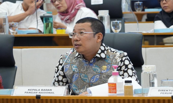 Foto : Kepala NFA Arief Prasetyo Adi.