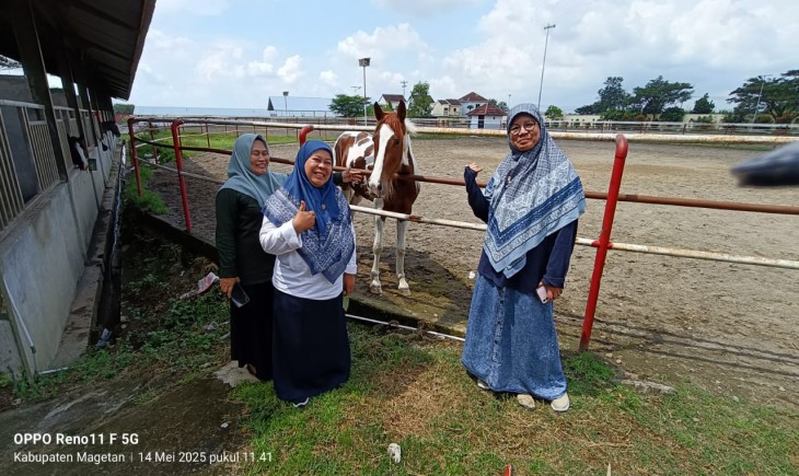 Kementan Dorong Pengembangan Kuda Lewat Teknologi IB. (Foto: dok. Kementan)