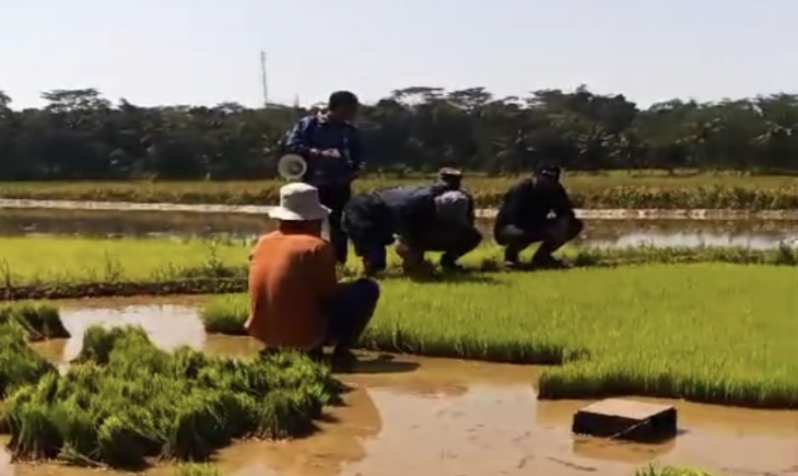 Dirjen Tanaman Pangan Suwandi mengunjungi beberapa lokasi pertanian, di Kabupaten Semarang dan Kabupaten Kudus, Jawa Tengah. (Foto: Dok. Kementan)