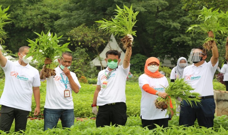 Foto : Kementan Pastikan Komoditas Pangan dalam Kondisi Aman.