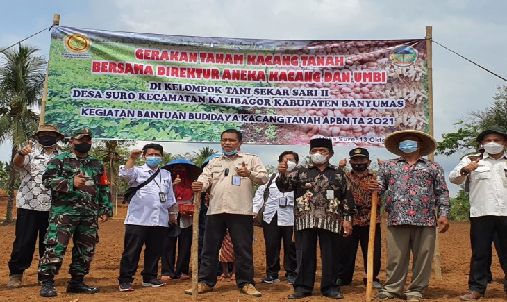 Foto : Gelar Tanam Serempak Kacang Tanah di Kabupaten Banyumas.