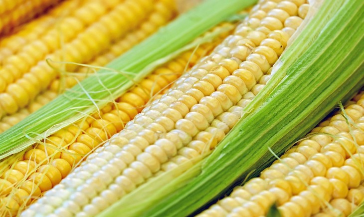 Ilustrasi Jagung. (pixabay)