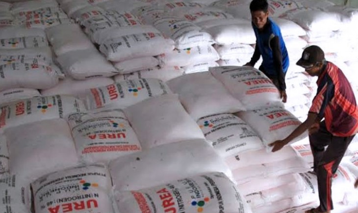 Foto : pupuk subsidi akan didifokuskan pada pupuk urea