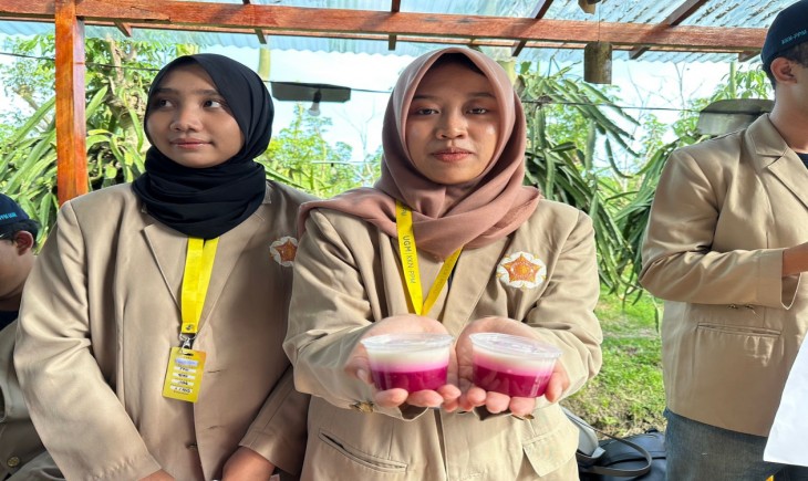 Inovasi puding buah naga karya mahasiswa UGM (ugm.go.id)