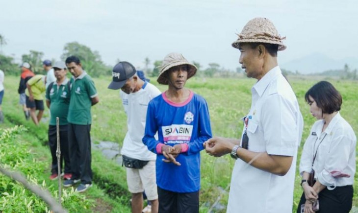 Kepala Dinas Pertanian dan Pangan (Diperpa) Kabupaten Badung I Wayan Wijana mengunjungi petani di Badung. (Pemkab Badung)