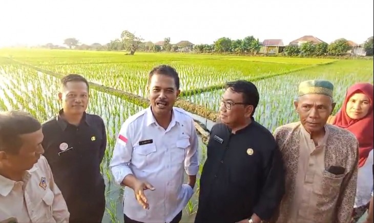 Dirjen Tanaman Pangan, Suwandi meninjau lahan persawahan seluas 120 hektar di Desa Pagirikan, Kecamatan Pasekan, Kabupaten Indramayu, Provinsi Jawa Barat, Selasa (4/6/2024). (Foto: Dok kementan)