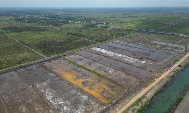Foto: Cetak sawah adalah kebijakan tepat dalam merevolusi pertanian.