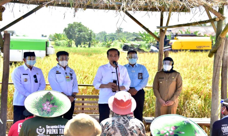 Foto : Jokowi didampingi Mentan SYL dan Dirut Perum Bulog, Budi Waseso Saat Meninjau Lokasi Panen Raya Padi, di Indramayu.