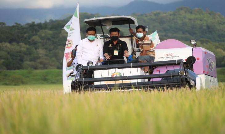 Foto : Mentan SYL Panen di Kabupaten Barru.