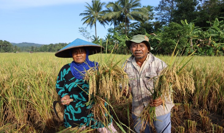 Foto : Produksi Beras Masih Tercukupi, Sukabumi Menolak Impor Beras.