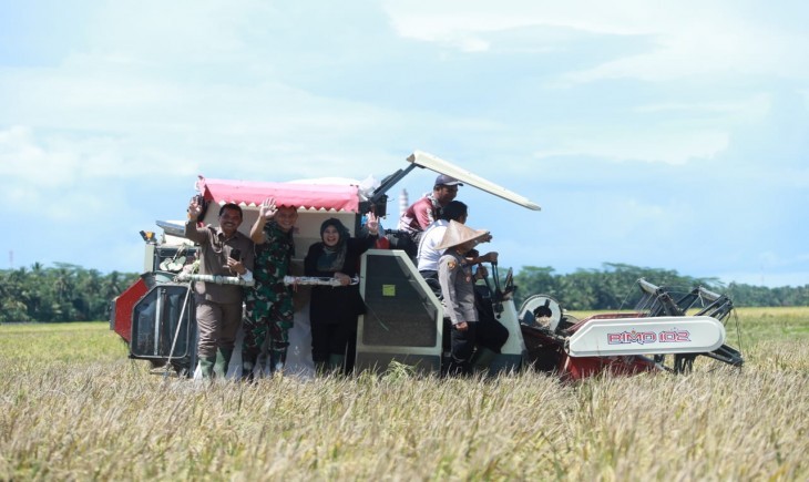 Foto : Kontribusi Positif Program Food Estate Terhadap Pendidikan dan Kesejahteraan Mahasiswa di Kalimantan Tengah. (Dok. Kementan)