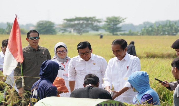 Presiden Joko Widodo (Jokowi) didampingi Plt. Menteri Pertanian (Mentan) Arief Prasetyo Adi, melakukan panen raya padi di Desa Karanglayung. (Dok kementan)