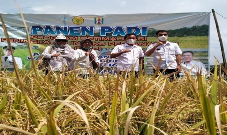 Foto : BPS Melaporkan Nilai Tukar Petani (NTP) di 22 Provinsi Mengalami Kenaikan Tinggi. (Dok. kementan)