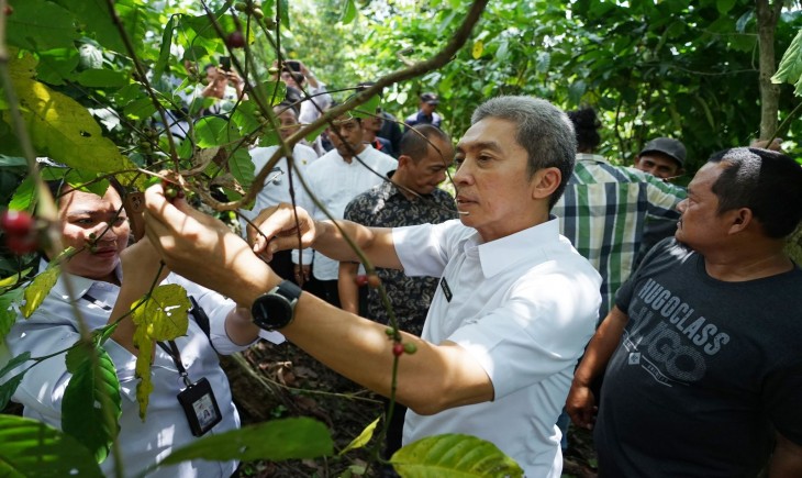 Wakil Wali Kota Bogor Dedie A Rachim meninjau kopi Rancamaya. (Humas Pemkot Bogor)