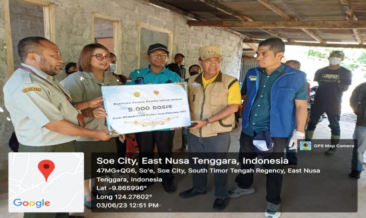 Kementan Melakukan Vaksinasi masal terhadap hewan anjing di Kabupaten Timor Tengah Selatan Nusa (TTS). (Foto : Dok. Kementan)