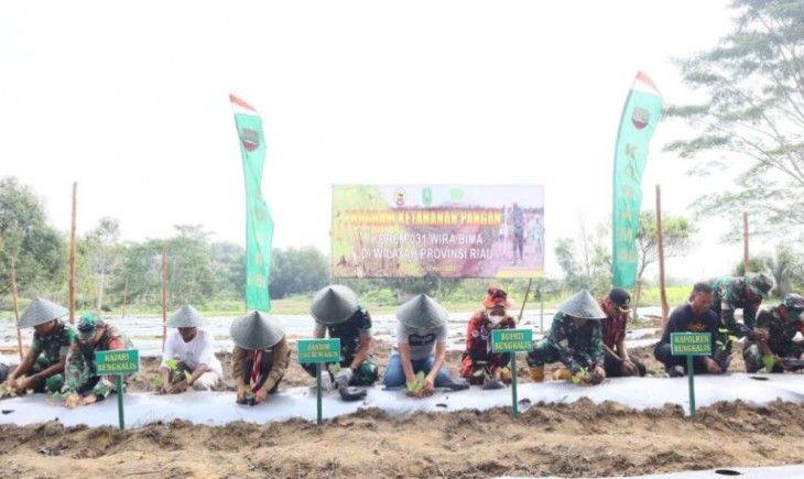 Penanaman labu siam di wilayah jajaran Korem 031 Wira Bima (TNI AD)
