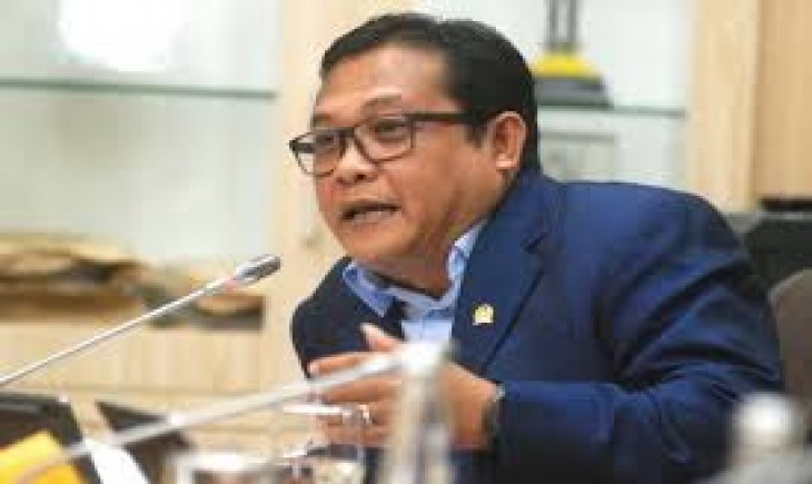 Anggota Komisi IV DPR RI dari Fraksi PDI Perjuangan, Sonny Tri Danaparamita. (Foto: Dok. DPR RI)