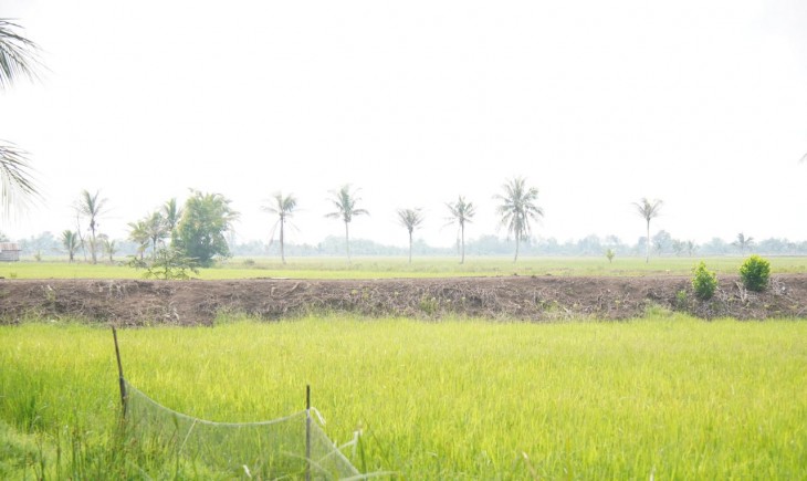 Jelang Musim Tanam April, Petani NTB Nikmati Kemudahan Akses Pupuk Subsidi. (Foto: dok. Kementan)