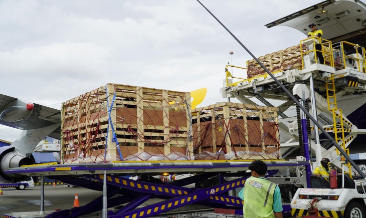 Sebanyak 50 ekor sapi perah bunting jenis Frisian Holstein asal Australia telah tiba di Indonesia, menandai dimulainya upaya percepatan investasi di subsektor peternakan. (Foto: Dok. Kementan)