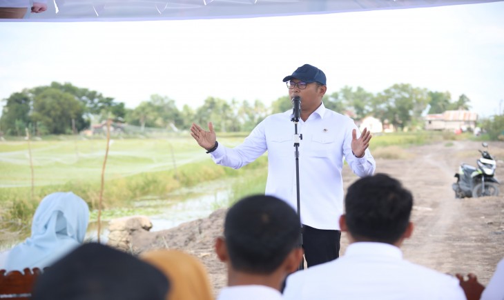 Wamentan Sudaryono saat meninjau panen raya petani di Desa Pemulutan, Kabupaten Ogan Ilir, Provinsi Sumatera Selatan, Senin, 13 Januari 2025. (Foto: Dok. Kementan)