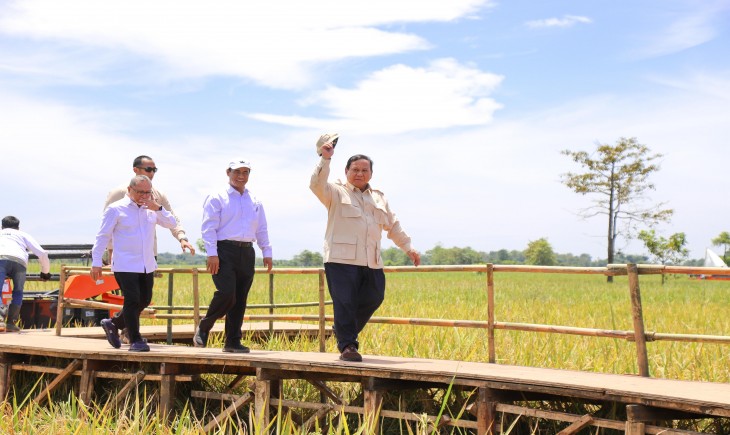 Mentan Amran, “Sentuhan Ajaib” Presiden Prabowo Hentikan Impor Beras. (Foto: dok. Kementan)
