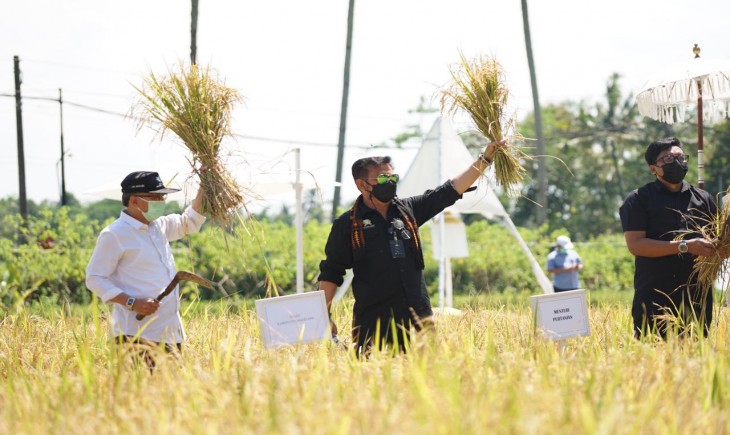 Foto : Kementan Jaga Harga Gabah.