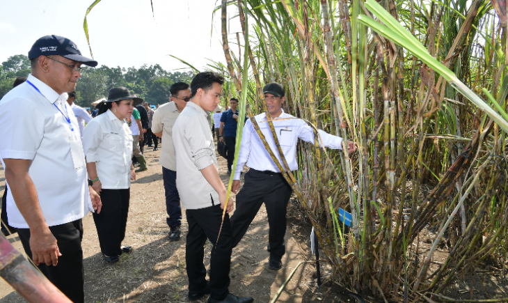 Rembuk Tani Bersama Wakil Presiden RI Menuju Swasembada Gula Nasional di Lahan Ketahanan Pangan Lanud Adisucipto, Sleman, Yogyakarta, 08/07/25. Foto : Biro Pers Media dan Informasi Sekretariat Wakil Presiden (BPMI Setwapres)