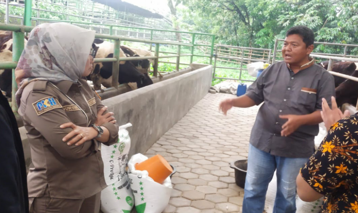 Sekretaris Direktorat Jenderal Peternakan dan Kesehatan Hewan, Nuryani Zainuddin saat melakukan kunjungan ke Rayhan Dairy Farm Bogor (12/8). (Foto: dok. Kementan)