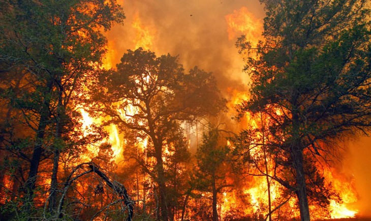 Prancis dilanda kebakaran hutan terburuk dalam 76 tahun. (Foto : ilustrasi)