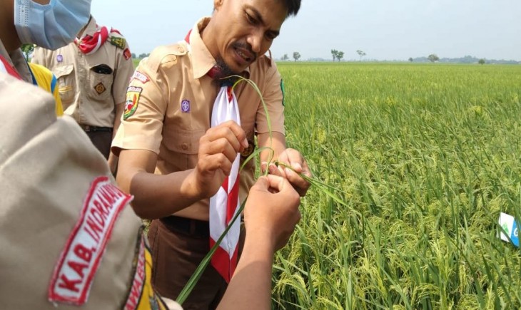 Foto : Kementan dan Kwarnas Pramuka Akan Melakukan Pelatihan 1.000 Milenial di Tiap Provinsi.