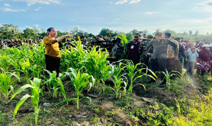 Presiden Jokowi meninjau lumbung pangan di Keerom, Papua. (Foto: Laily Rachev - Biro Pers Sekretariat Presiden)