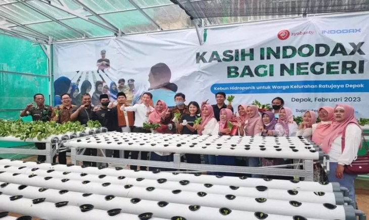 Kelompok Wanita Tani (KWT) Tunas Tani Depok saat panen sayuran. (Pemkot Depok)