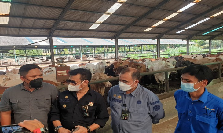 Foto : Mentan SYL Saat Berkunjung ke Peternakan Sapi di Wilayah Deli Serdang, Sumatera Utara.