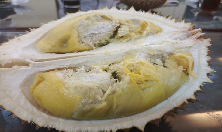 Kementan Siapkan Durian Simemang Asal Banjarnegara Jadi Salah Satu Durian Unggul Nasional. (Dok. Kementan)