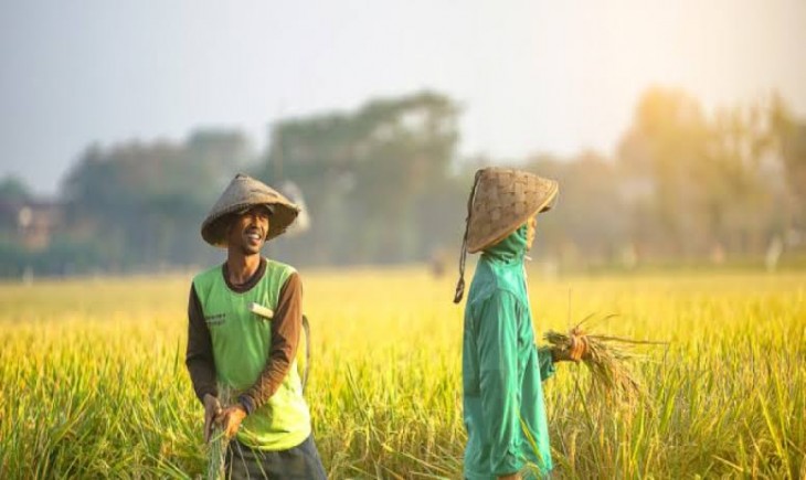 Foto : Ilustrasi Petani. Sumber Foto : inipasti.com