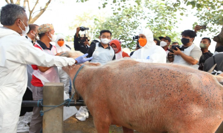 Foto : Mentan SYL Tinjau Pelaksanaan Vaksinasi PMK di Kabupaten Grobogan.
