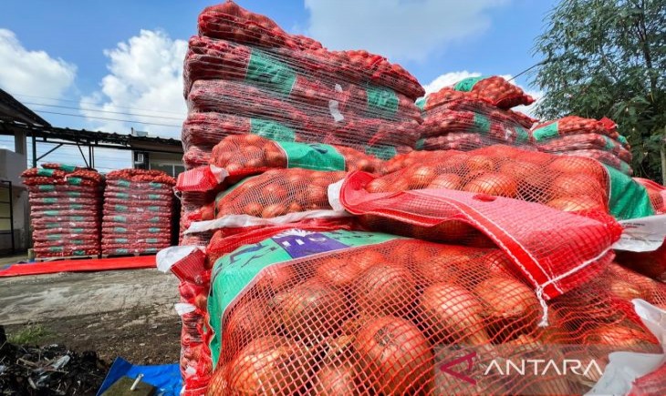 Bawang bombai impor mengandung OPTK (organisme pengganggu tumbuhan karantina) yang hendak dimusnahkan oleh Barantin menggunakan mesin insinerator milik Barantin di Bekasi, Jawa Barat, Jumat (28/2/2025). (Foto :ANTARA/Harianto)