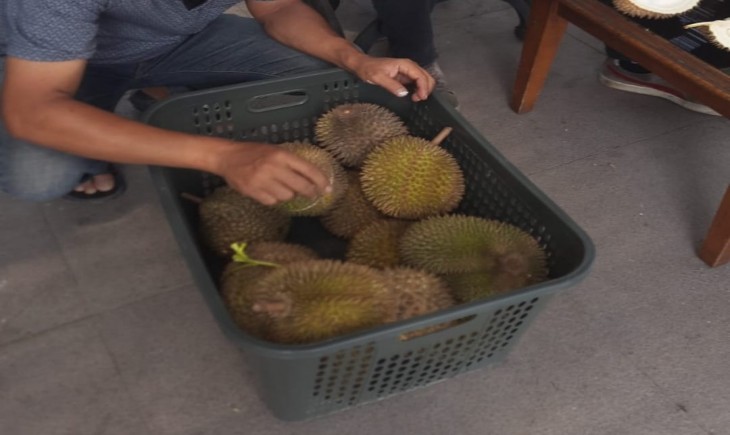 Durian Cengal di Kabupaten Bogor. (Egi/PanganNews.id)
