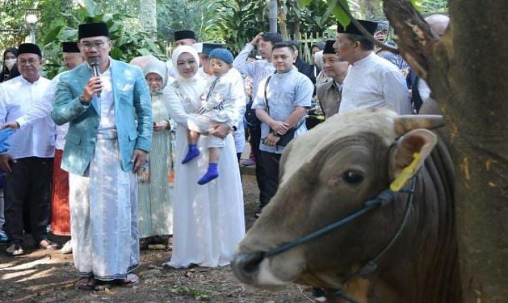 Gubernur Jawa Barat Ridwan Kamil saat menyembelih hewan kurban.