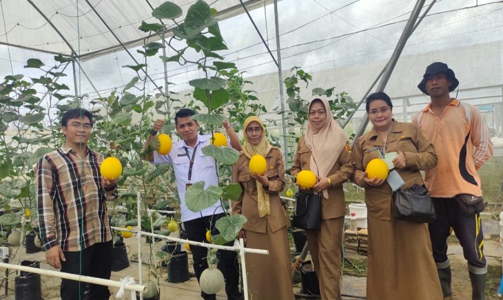 Foto : Budidaya Melon dengan Smart Farming.