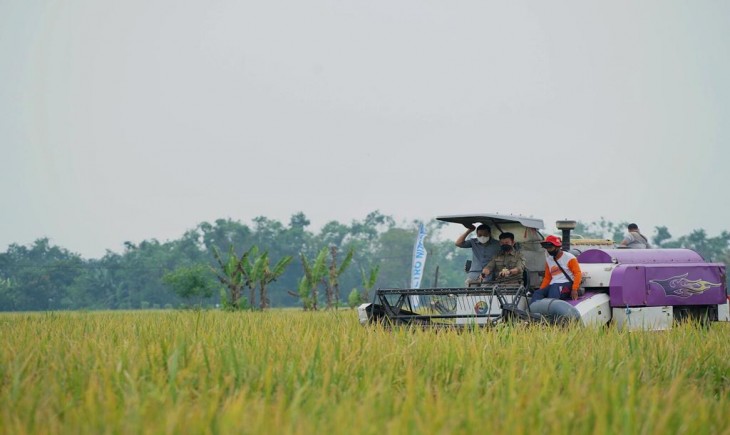 Foto : Kementan dan Mitra Sepakat Serap Gabah 16.000 Ton.