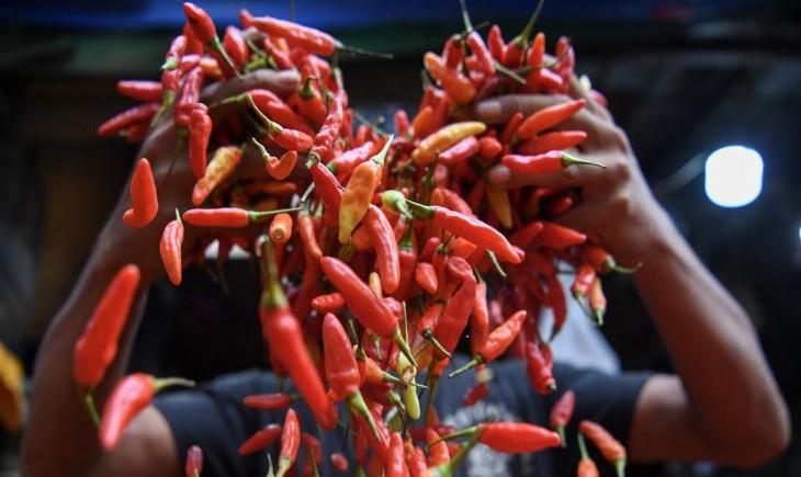 Ilustrasi harga cabai rawit merah di Kabupaten Lumajang. (ist)