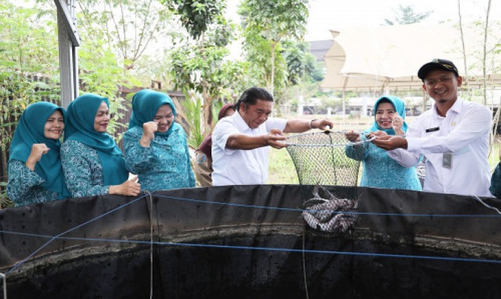 PANEN : Kegiatan Al Muktabar dan istrinya melakukan panen ikan lele di Halaman Gedung TP PKK Provinsi Banten (Diskominfo Pemprov Banten)